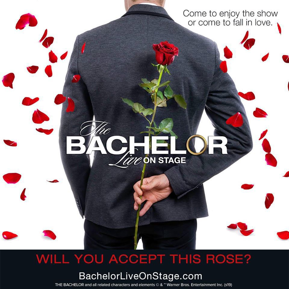 Bachelor.jpg